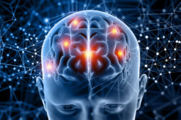 The Powerful Brain Chemicals That Boost Your Sleep